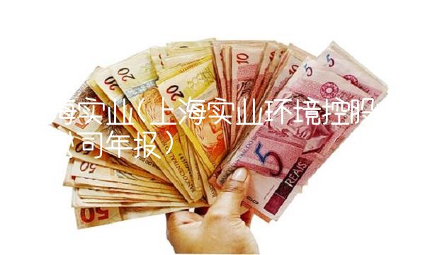 上海实业(上海实业环境控股有限公司年报)