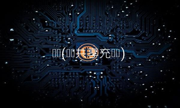 锐电(锐电共享充电宝)