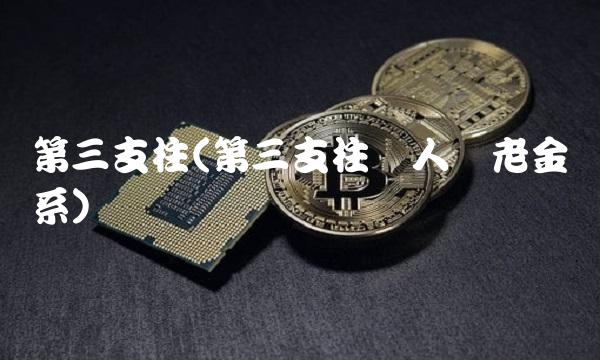 第三支柱(第三支柱个人养老金体系)