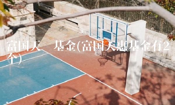 富国天丰基金(富国天惠基金有2个)