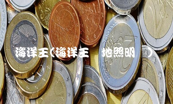 海洋王(海洋王场地照明灯)