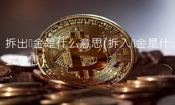 拆出资金是什么意思(拆入资金是什么意思)