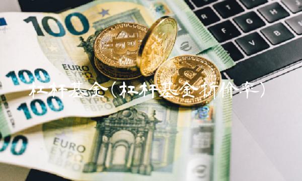 杠杆基金(杠杆基金折价率)