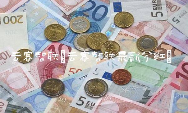 云赛智联(云赛智联**分红)