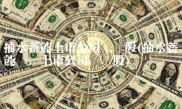 抽水蓄能上市公司龙头股(抽水蓄能设备上市公司龙头股)