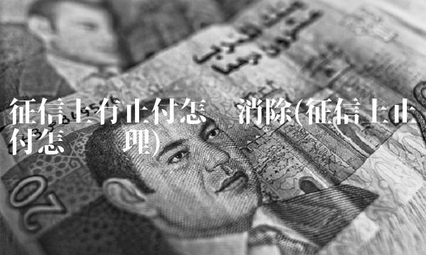 征信上有止付怎么**(征信上止付怎么处理)