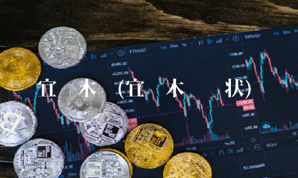 宜华木业(宜华木业现状)