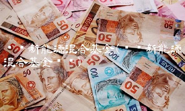 农银新能源混合基金(农银新能源混合基金净值)