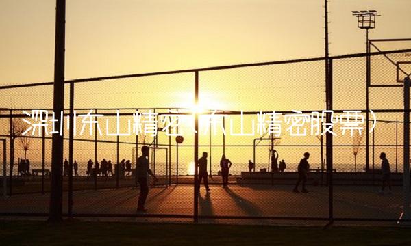 深圳东山精密(东山精密股票)
