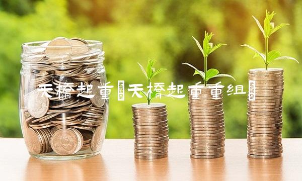 天桥起重(天桥起重重组)