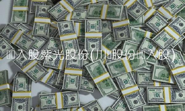 华为入股紫光股份(川仪股份华为入股)