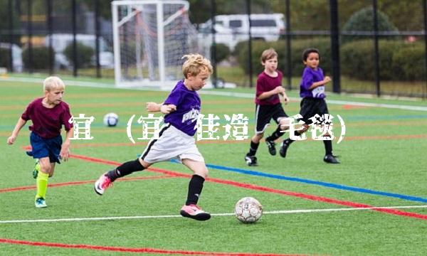 宜纸(宜纸佳造纸毛毯)