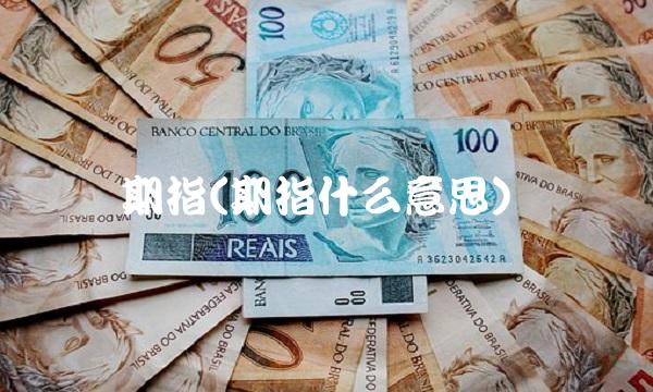 期指(期指什么意思)