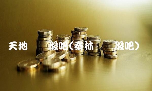 天地转债股吧(泰林转债股吧)