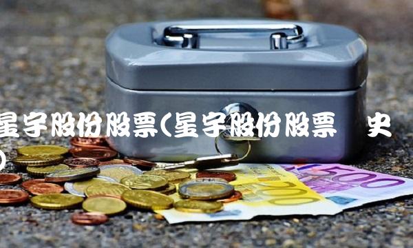 星宇股份股票(星宇股份股票历史)