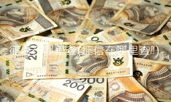 征信在哪里查(征信在哪里查询)