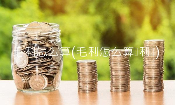 毛利怎么算(毛利怎么算净利润)