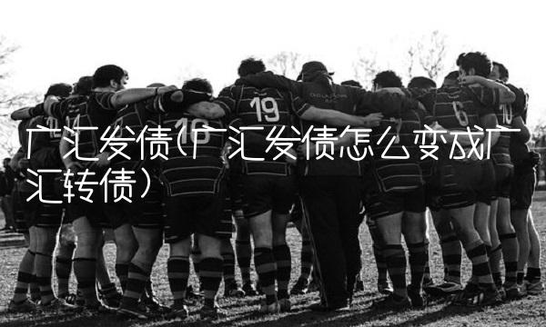 广汇发债(广汇发债怎么变成广汇转债)