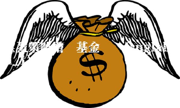 宝盈策略增长基金净值(suglabId_1)