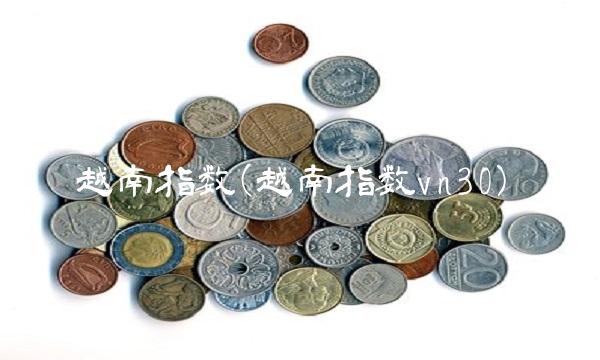 越南指数(越南指数vn30)