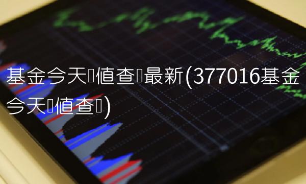 基金今天净值查询**(377016基金今天净值查询)