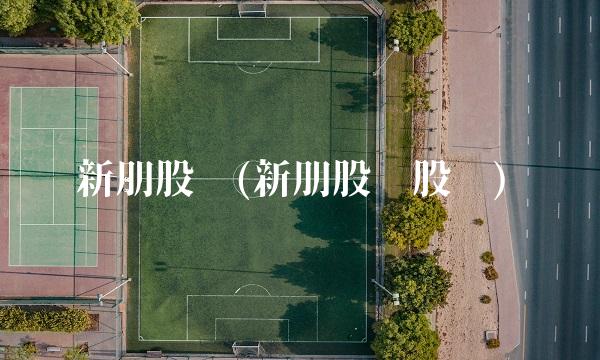 新朋股份(新朋股份股吧)