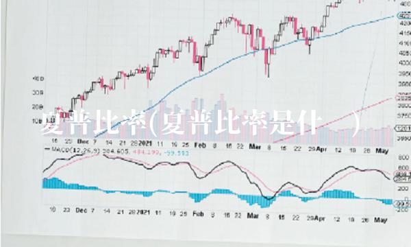 夏普比率(夏普比率是什么)