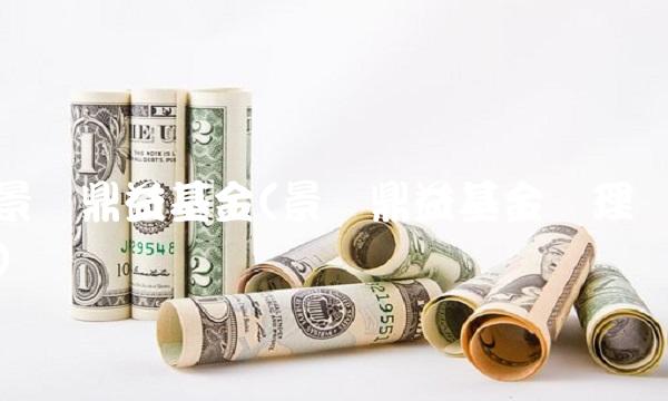 景顺鼎益基金(景顺鼎益基金经理)