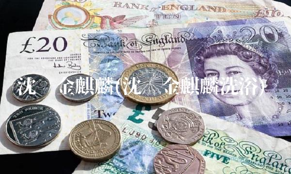 沈阳金麒麟(沈阳金麒麟洗浴)