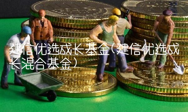 建信优选成长基金(建信优选成长混合基金)