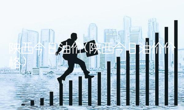 陕西今日油价(陕西今日油价价格)