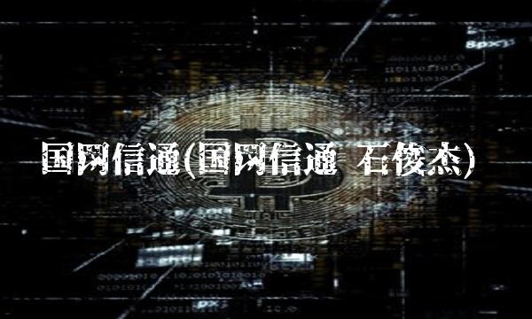 国网信通(国网信通 石俊杰)