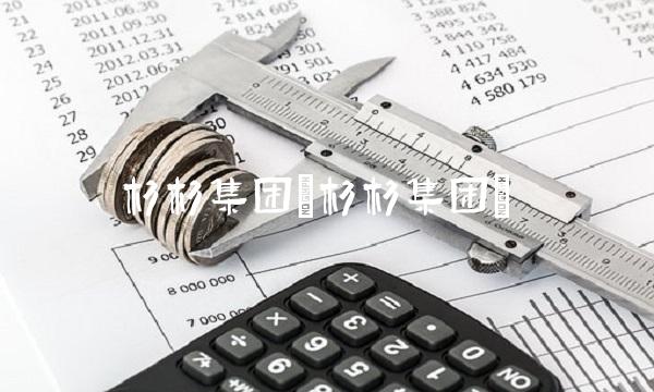 杉杉集团(杉杉集团)