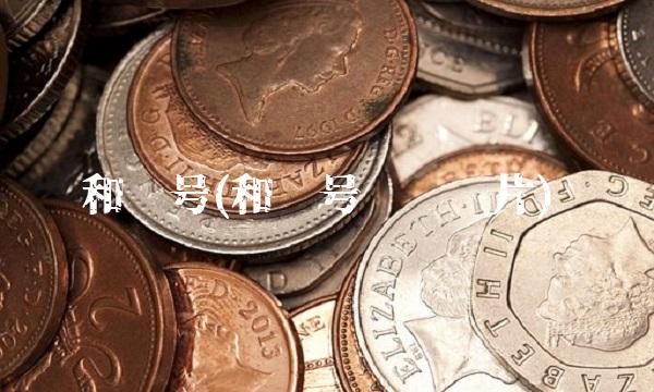 和谐号(和谐号动车图片)