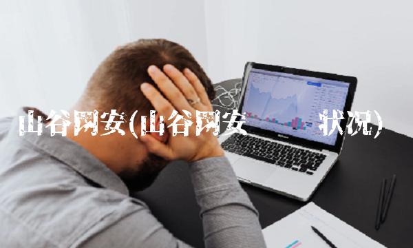 山谷网安(山谷网安 财务状况)