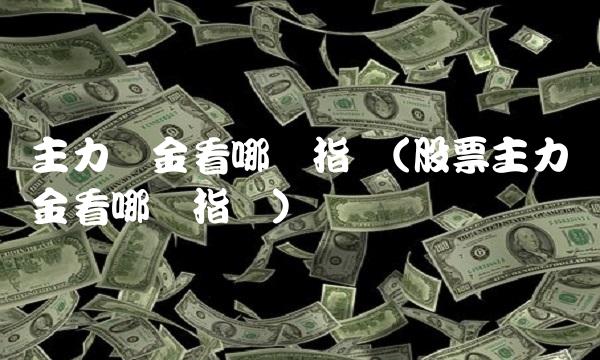主力资金看哪个指标(股票主力资金看哪个指标)
