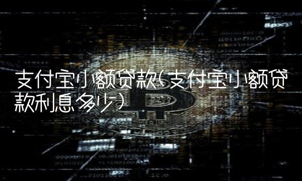 支付宝小额**(支付宝小额**利息多少)