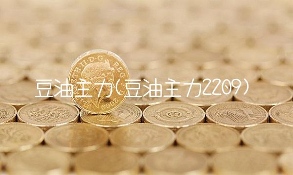 豆油主力(豆油主力2209)