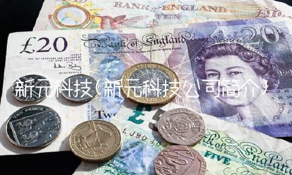 新元科技(新元科技公司简介)
