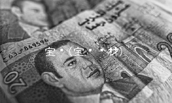 宝硕(宝硕铝材)