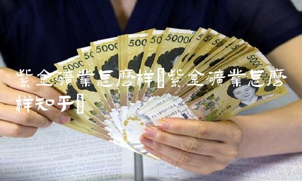 紫金矿业怎么样(紫金矿业怎么样知乎)