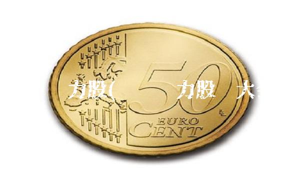 华银电力股(华银电力股东大会)