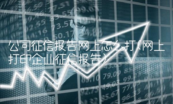公司征信报告网上怎么打(网上打印企业征信报告)