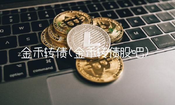 金禾转债(金禾转债股吧)