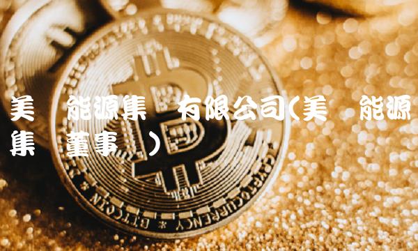 美锦能源集团有限公司(美锦能源集团董事长)