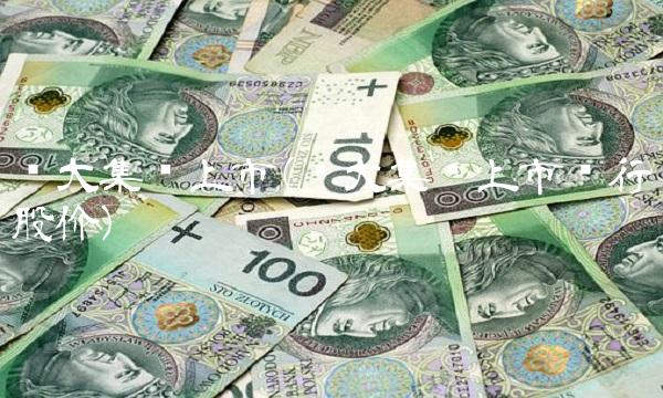 庞大集团上市(庞大集团上市发行股价)