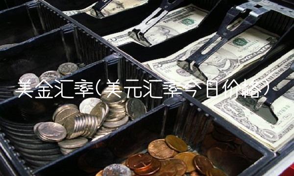 美金汇率(美元汇率今日价格)