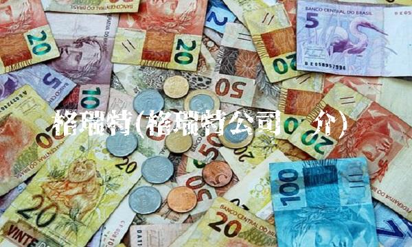 格瑞特(格瑞特公司简介)
