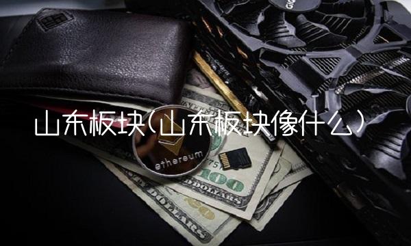 山东板块(山东板块像什么)