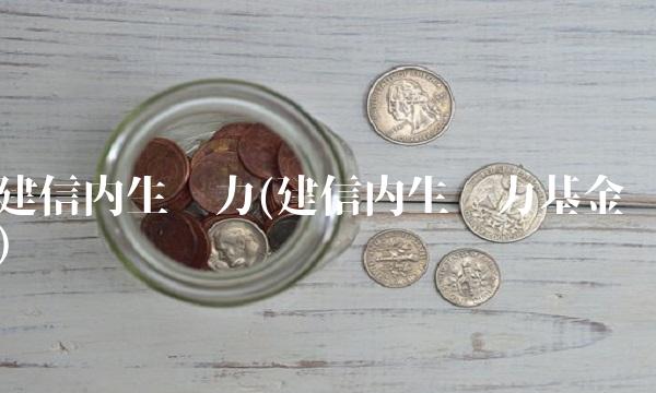 建信内生动力(建信内生动力基金)